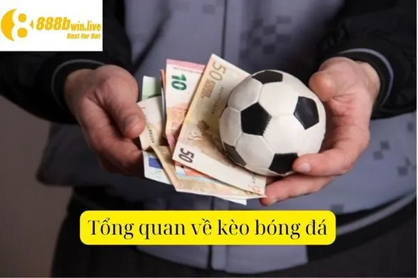 Giải Mã Kèo Bóng – Các Loại Kèo Bóng Và Mẹo Đặt Cược Chuẩn